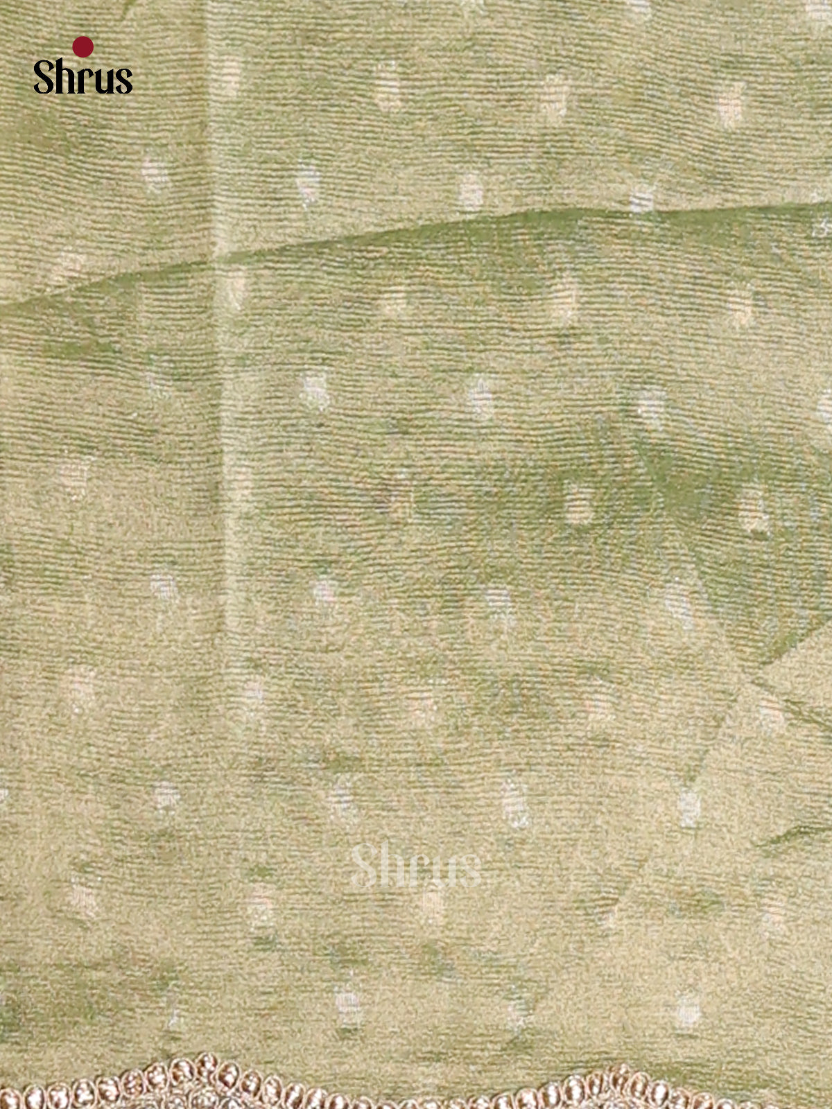 Lite Green - Semi Tissue Saree