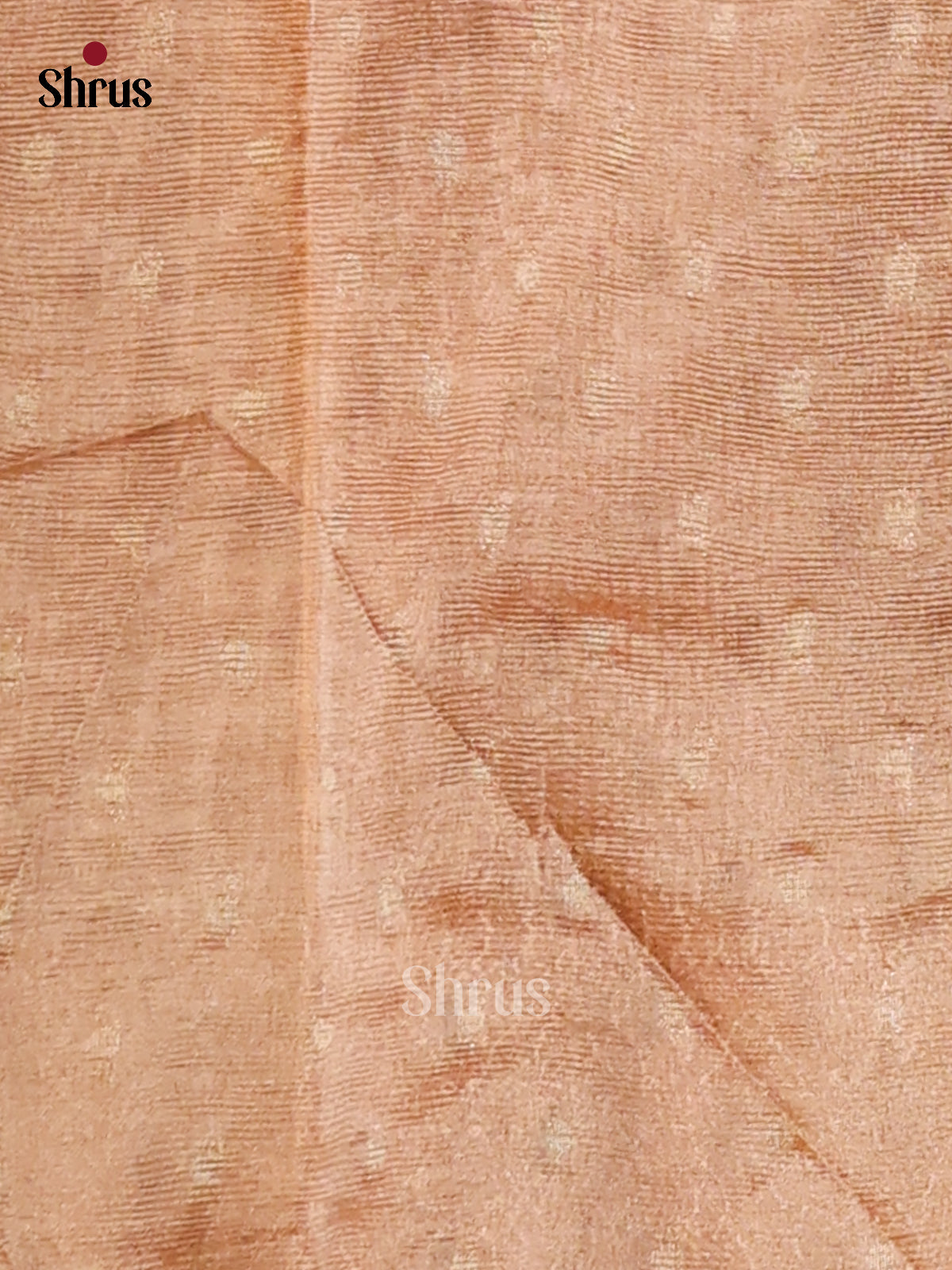 Orange - Semi Tissue Saree - Shop on Shrus.com