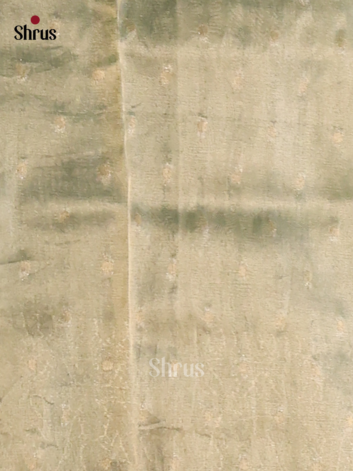 Mint Green - Semi Tissue Saree