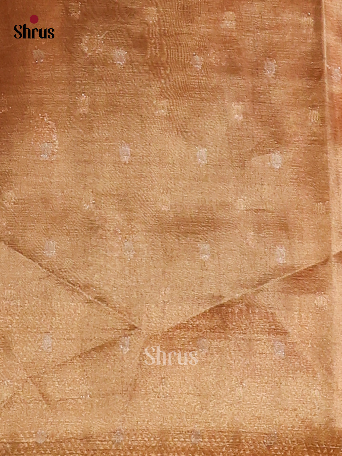 DFS07438 - Semi Tissue Saree