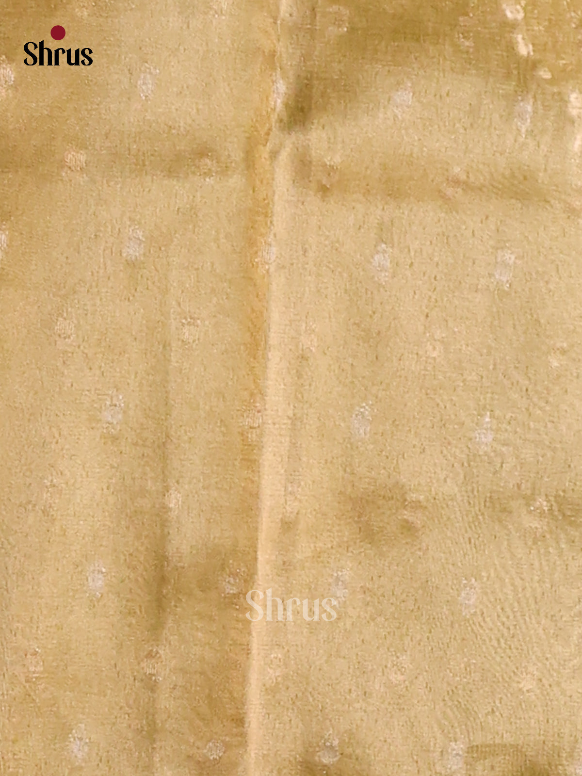 Lite Green - Semi Tissue Saree