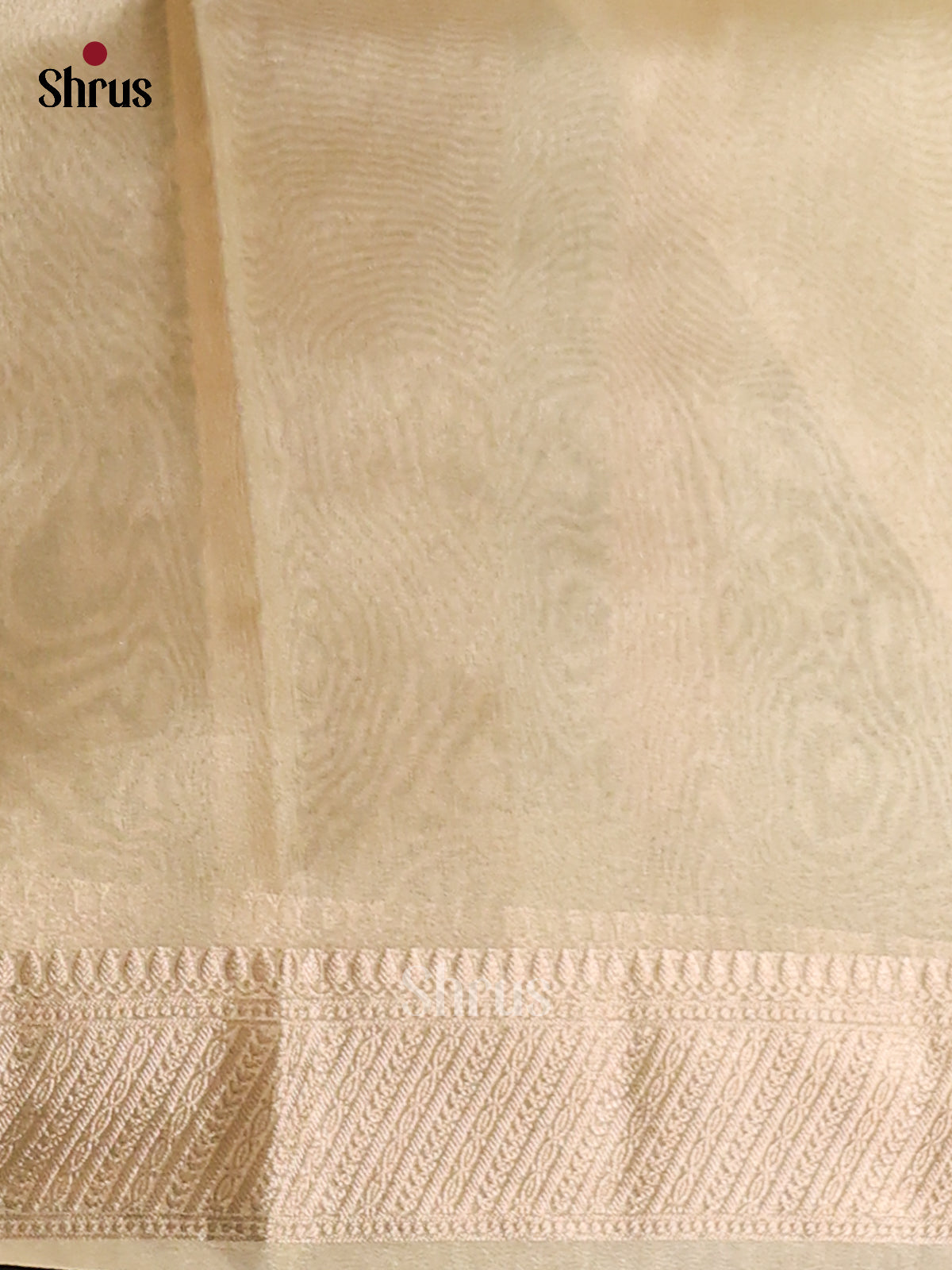 Lite Green- Semi Tissue Saree