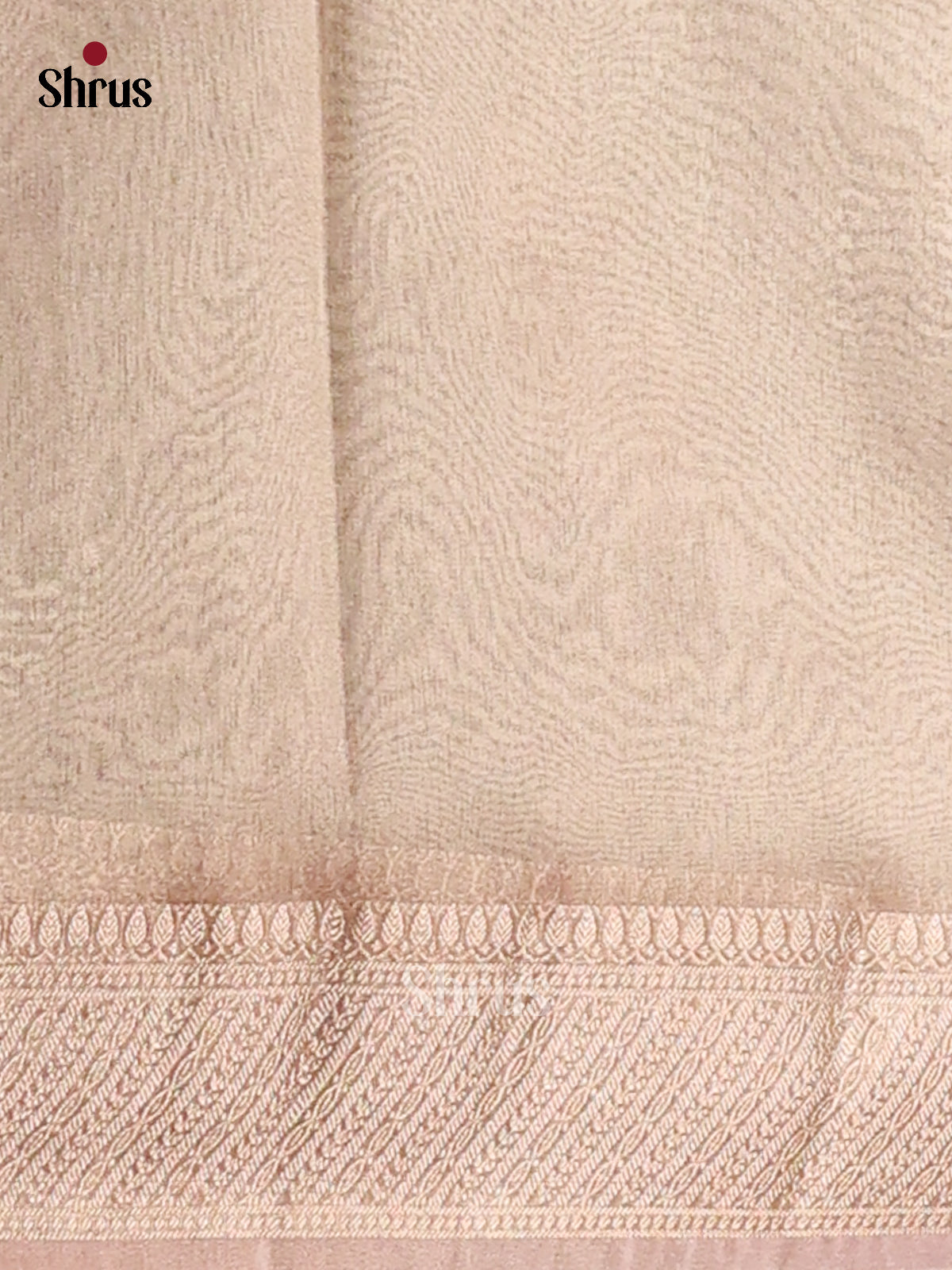 Cream - Semi Tissue Saree