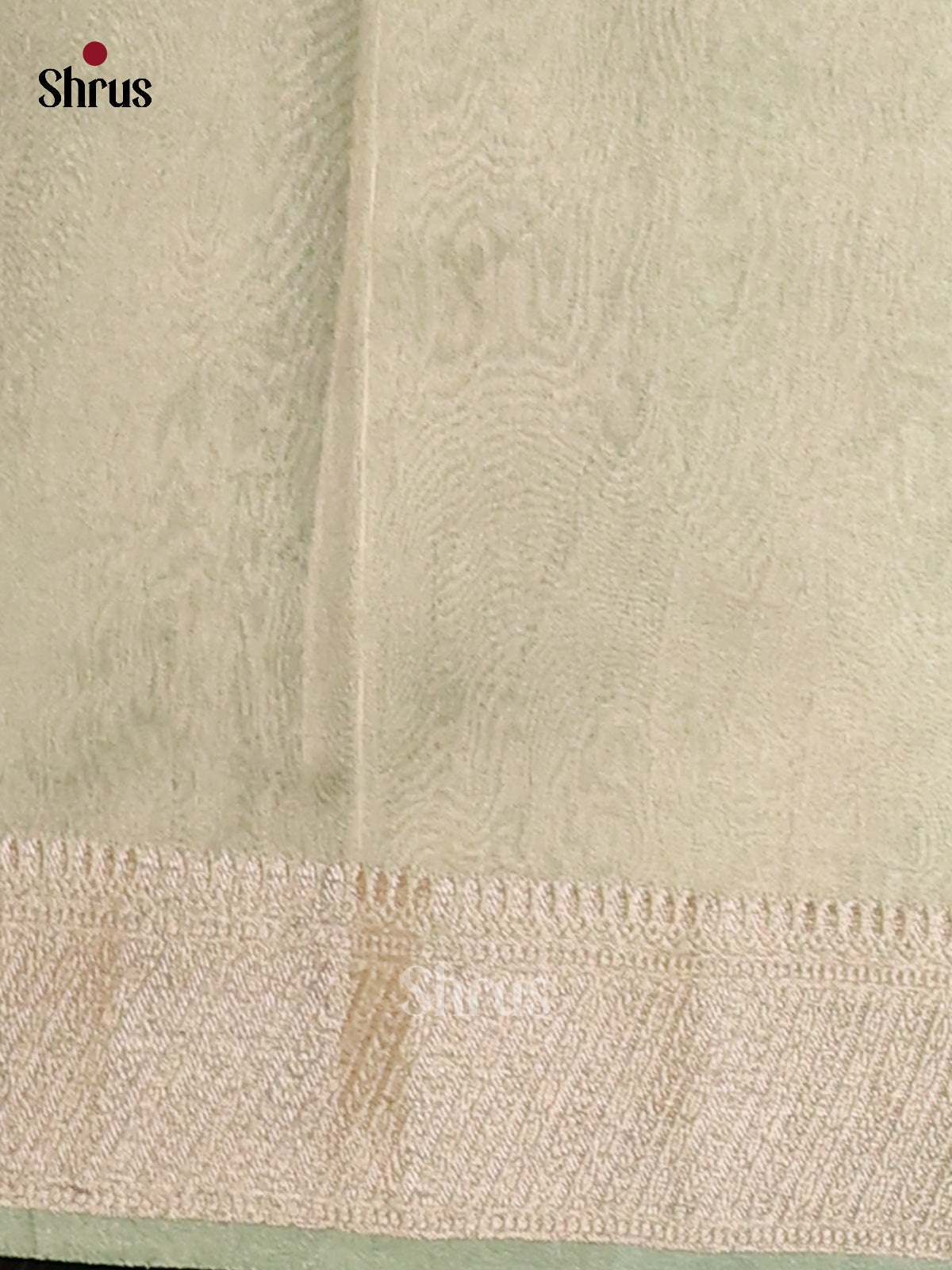 Lite Green - Semi Tissue Saree - Shop on Shrus.com