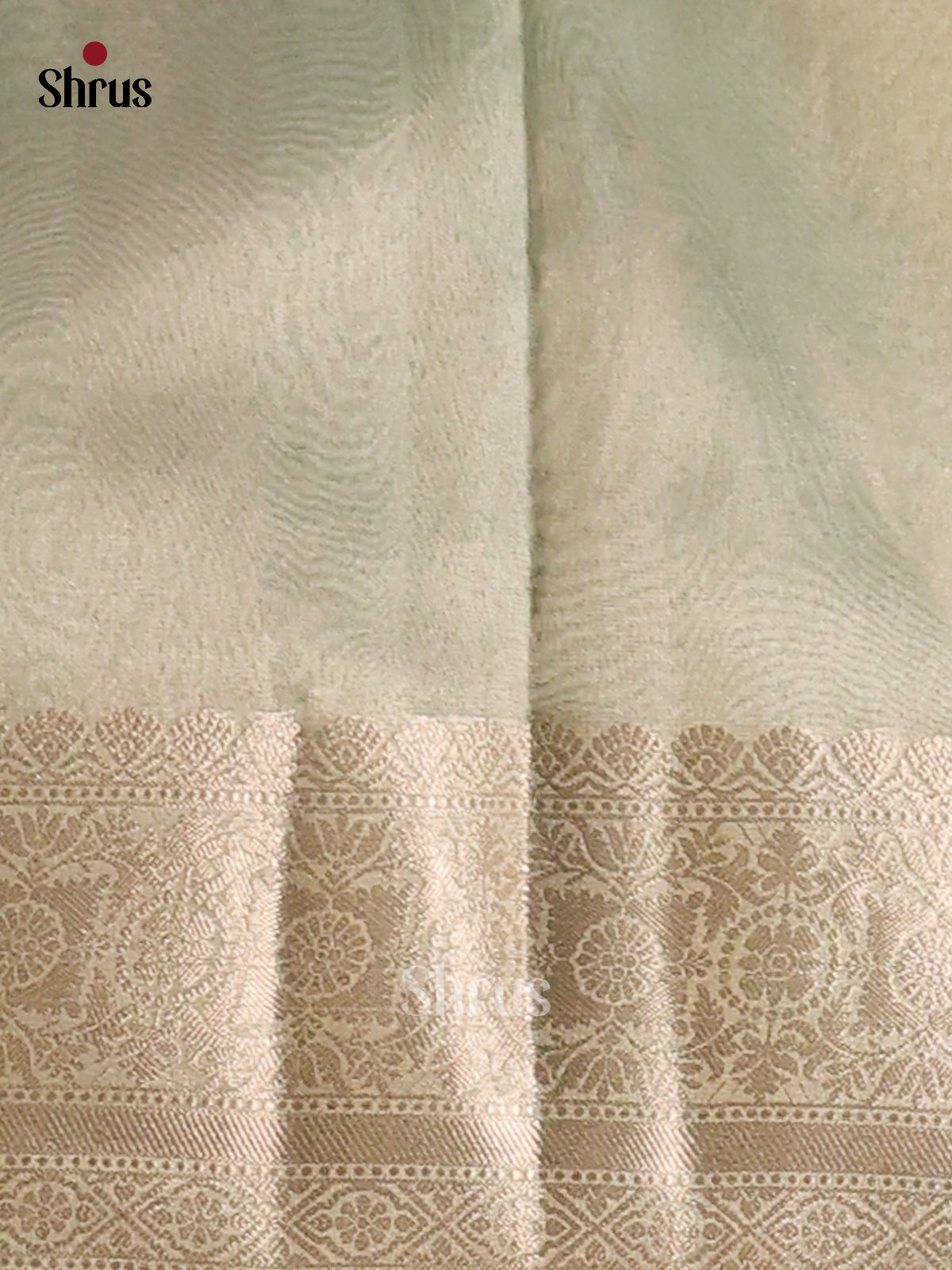 Ice Green - Semi Tissue Saree