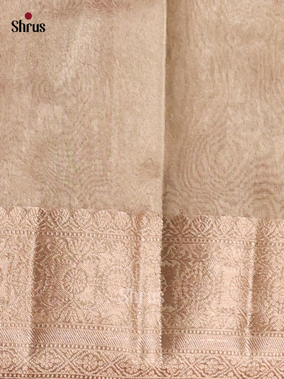 brown - Semi Tissue Saree