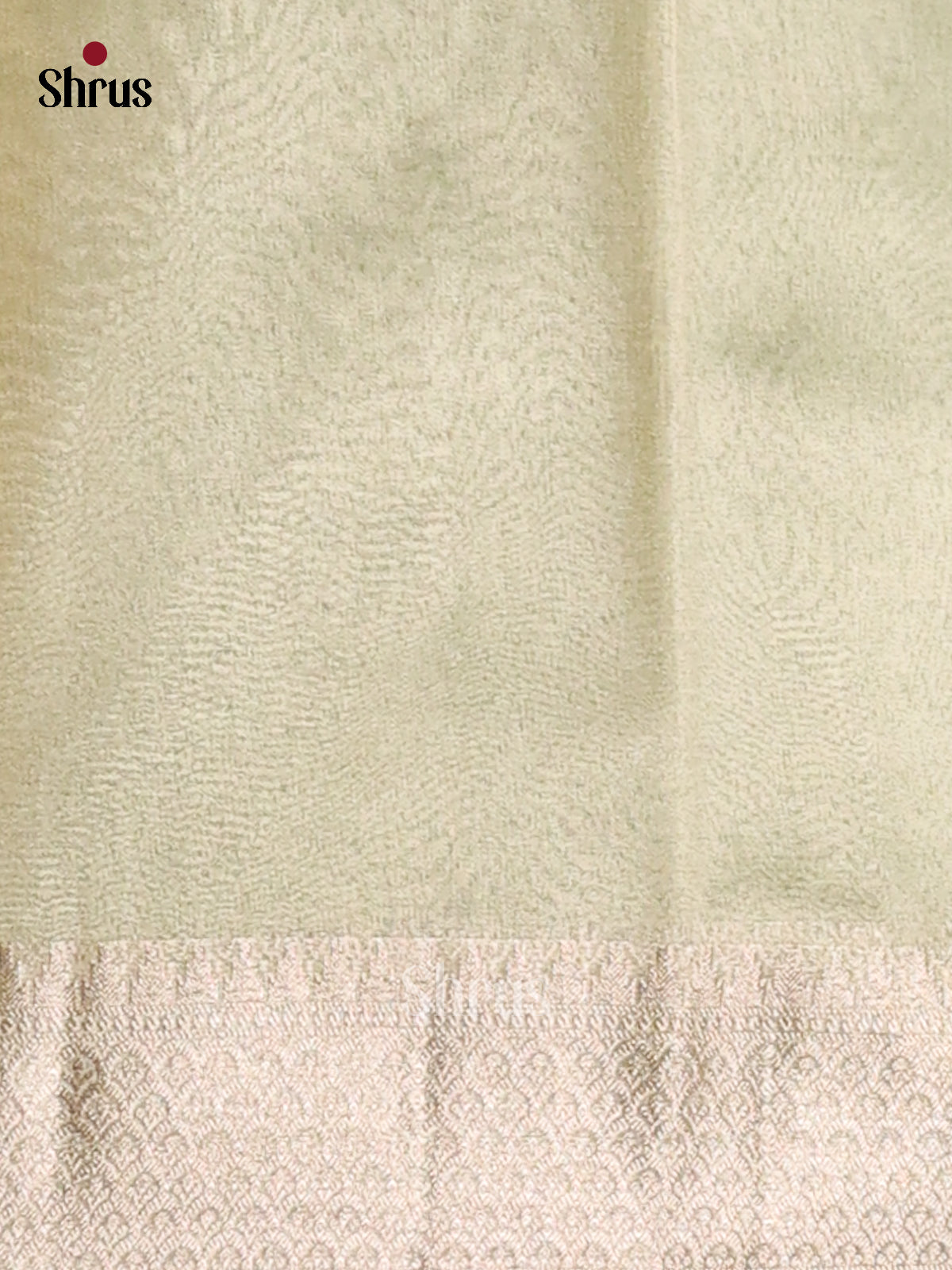 Lite Green - Semi Tissue Saree