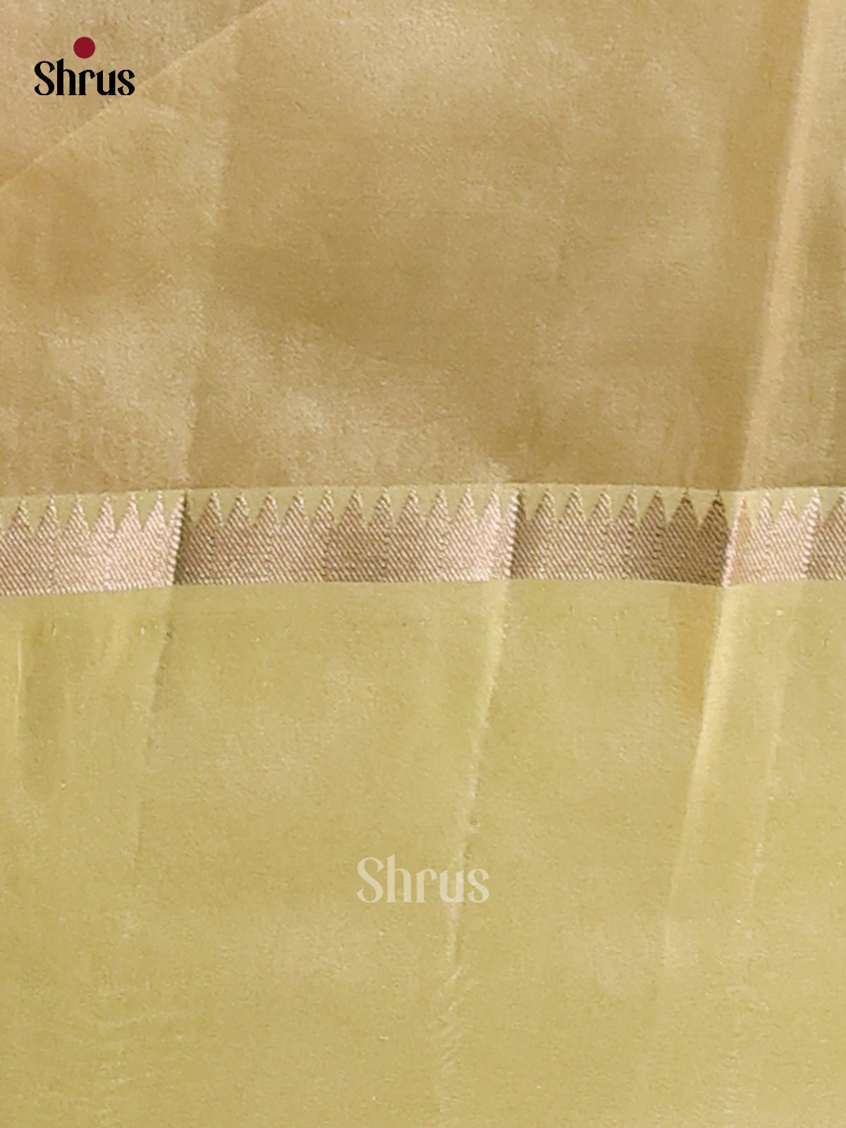 Green- Semi Tissue Saree - Shop on Shrus.com