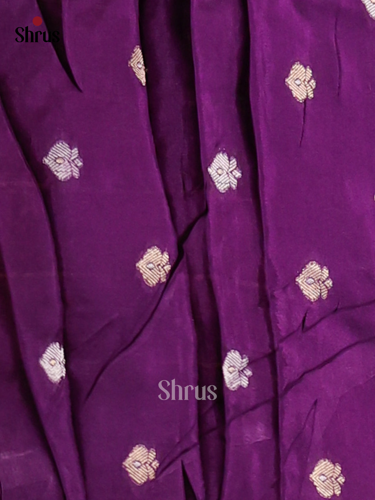 DFS09055 - Chinnon Silk Saree - Shop on Shrus.com