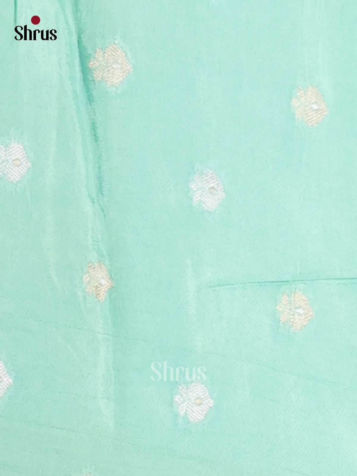DFS09058 - Chinnon Silk Saree