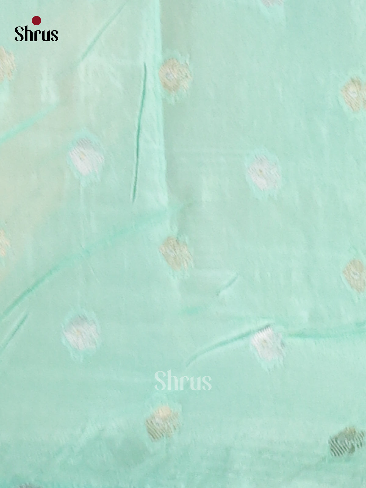 DFS09078 - Chinnon Silk Saree