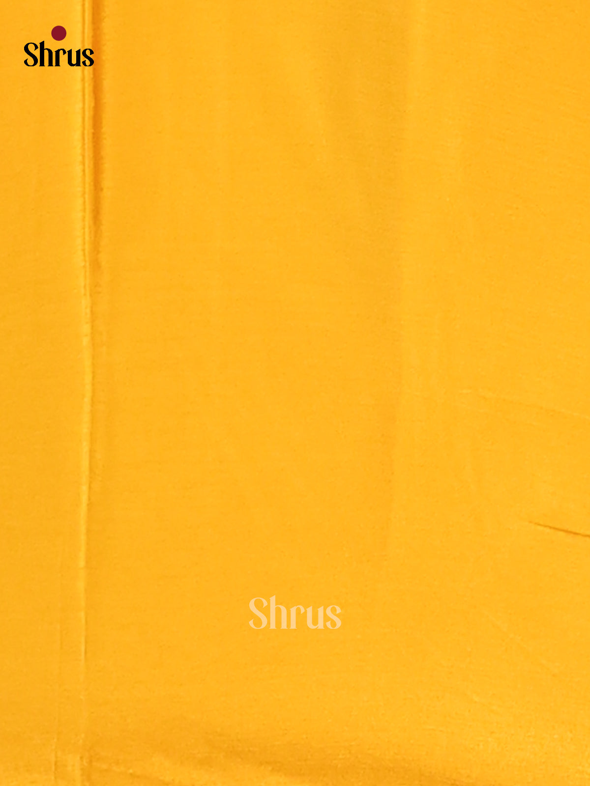 DFS09087 - Chinnon Silk Saree