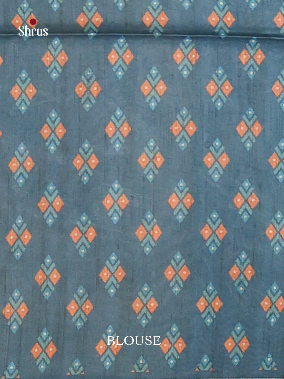 Brown & Blue - Champa semitussar Saree