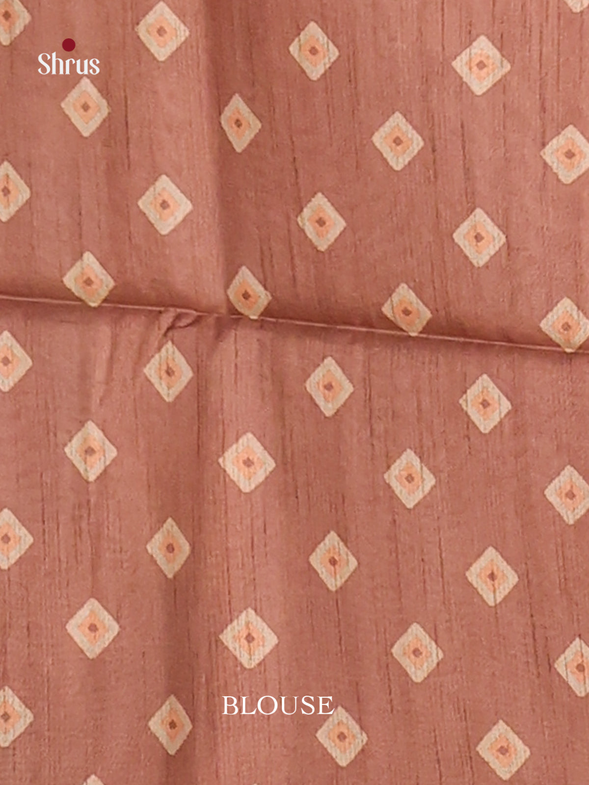 Brown - Champa semitussar Saree