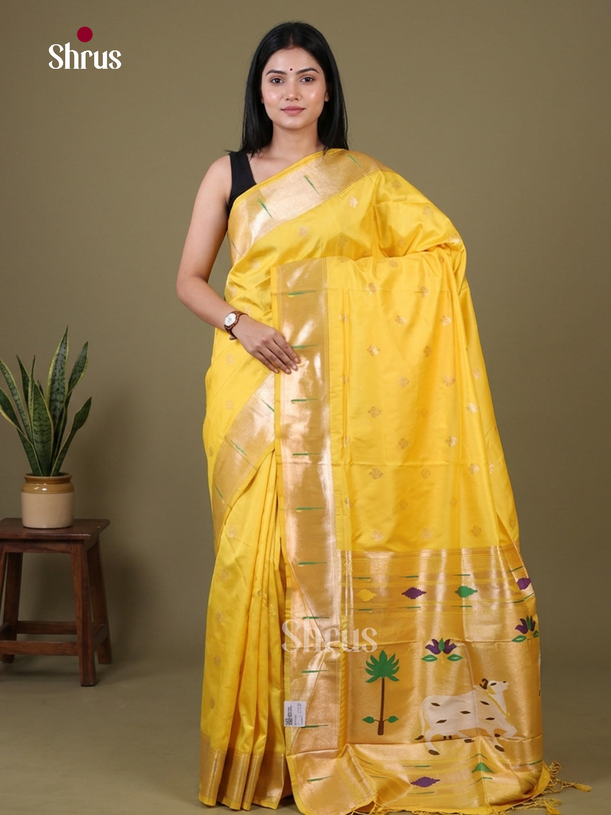 DFS10233 - Semi Paithani