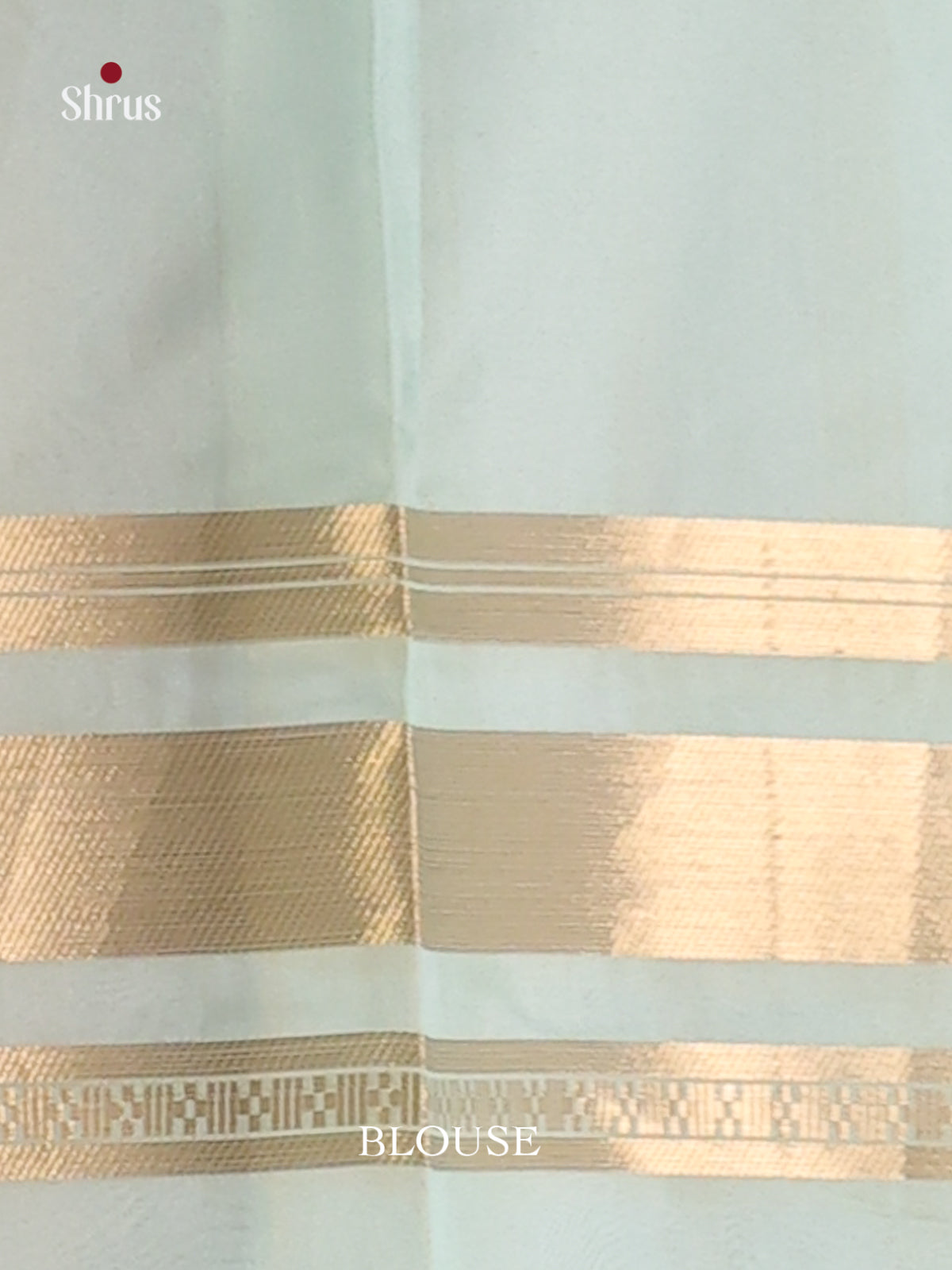 Cream & Pastel Blue - Semi Organza Saree