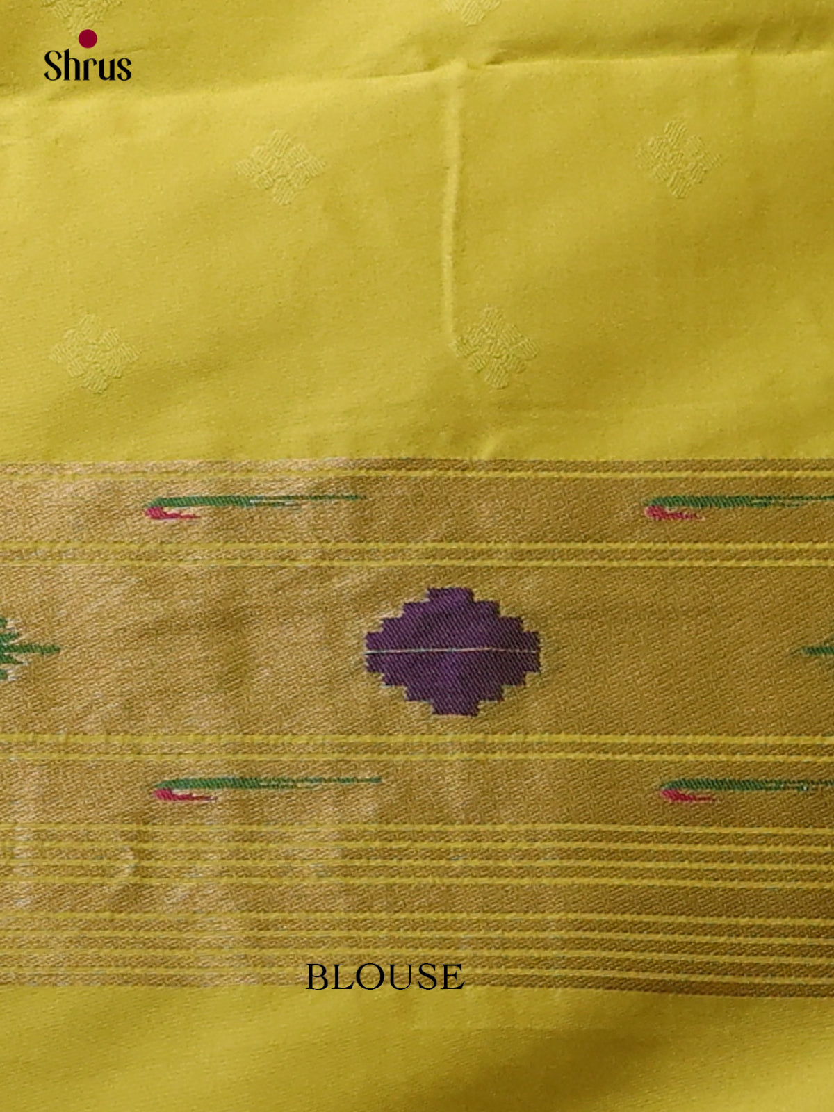 DFS11021 - Semi Paithani