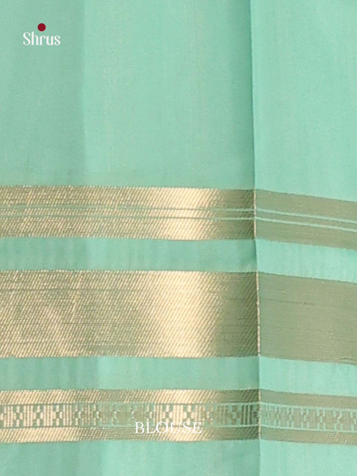 Cream & Pastel Green- Semi Organza Saree