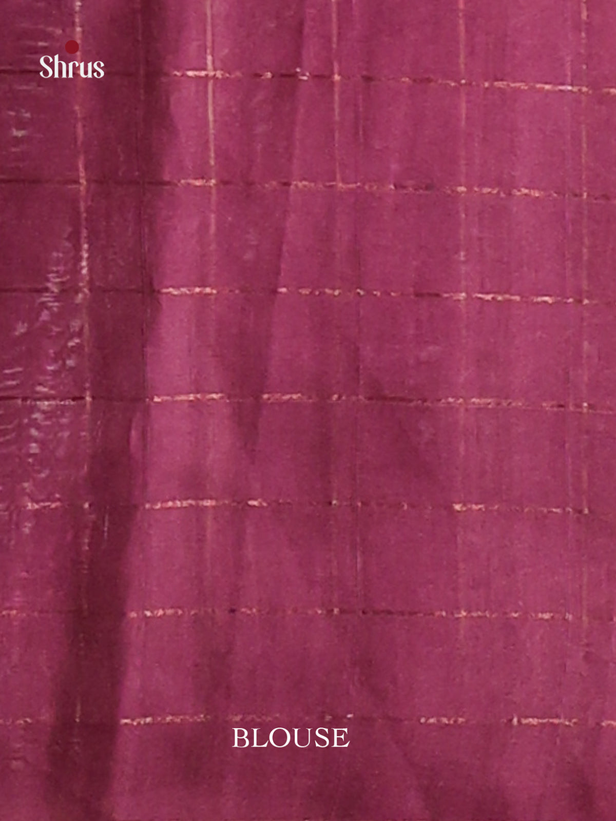 Blue & Purple - Champa semitussar Saree