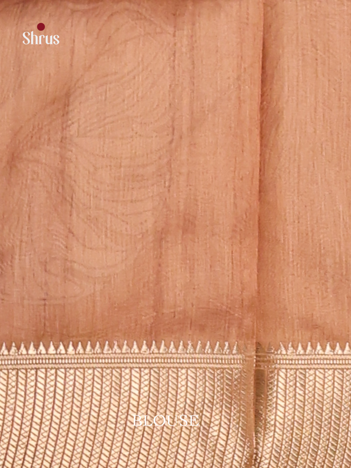 Brown - Champa semitussar Saree