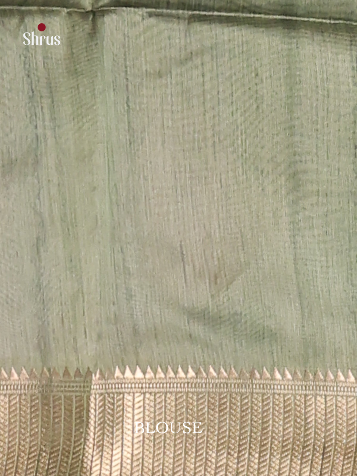 Cream & Grey Green - Champa semitussar Saree