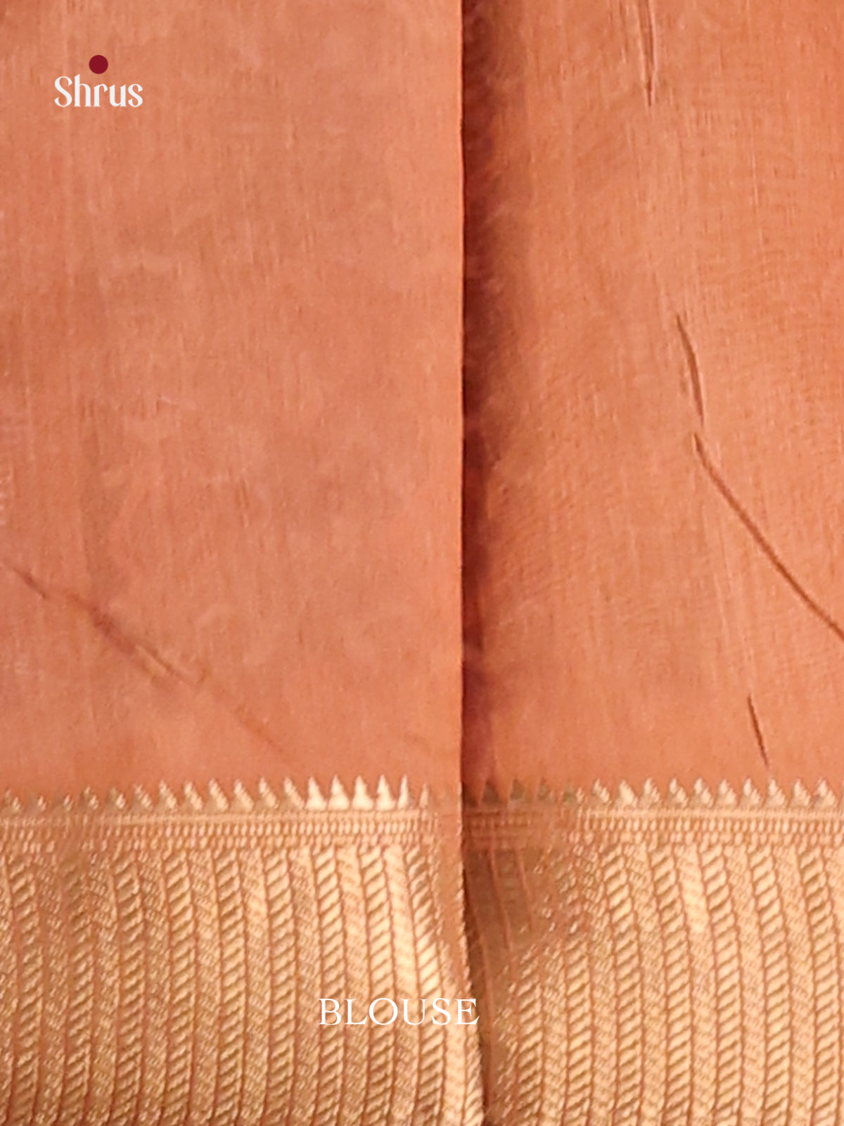 Brown - Champa semitussar Saree