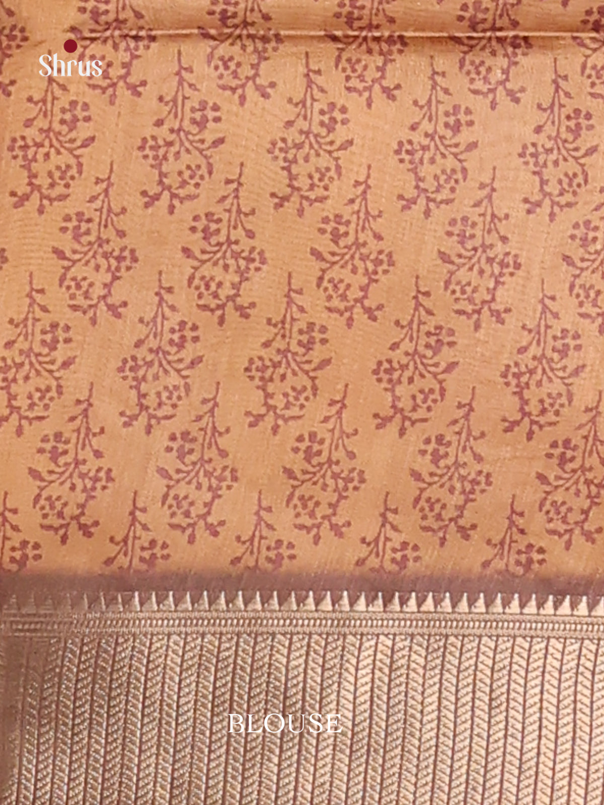 Cream & Brown- Champa semitussar Saree