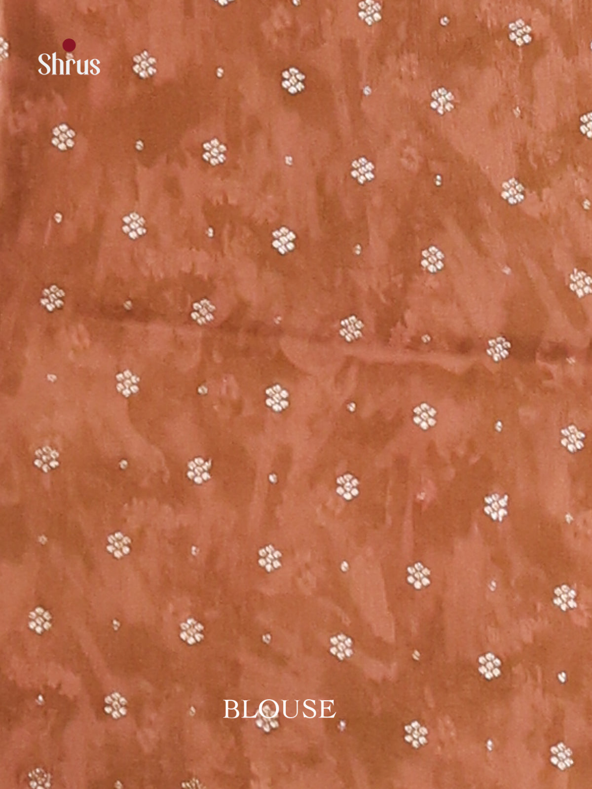 Brown - Semi Organza Saree