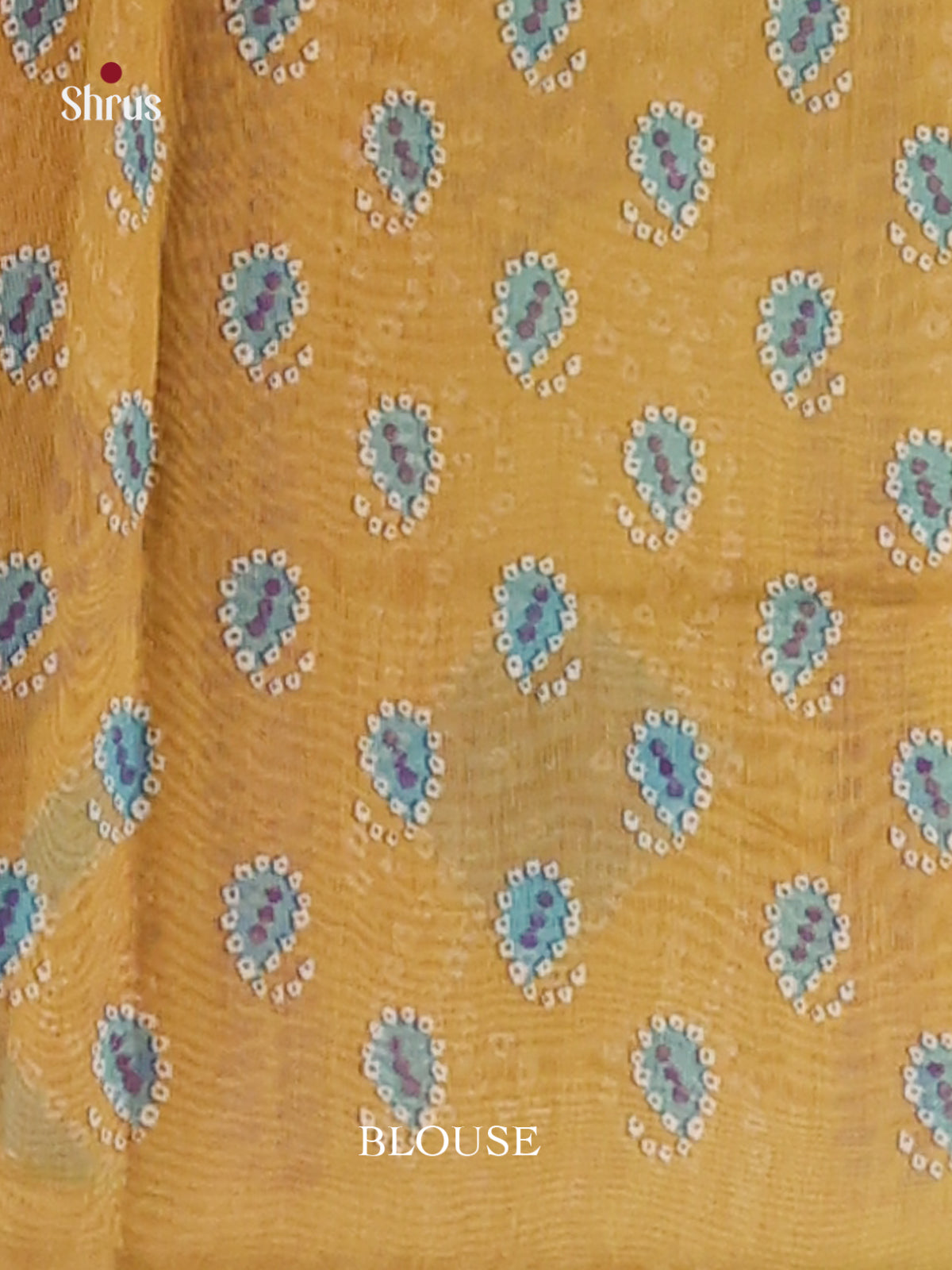 Blue & Green - Semi Chanderi Saree