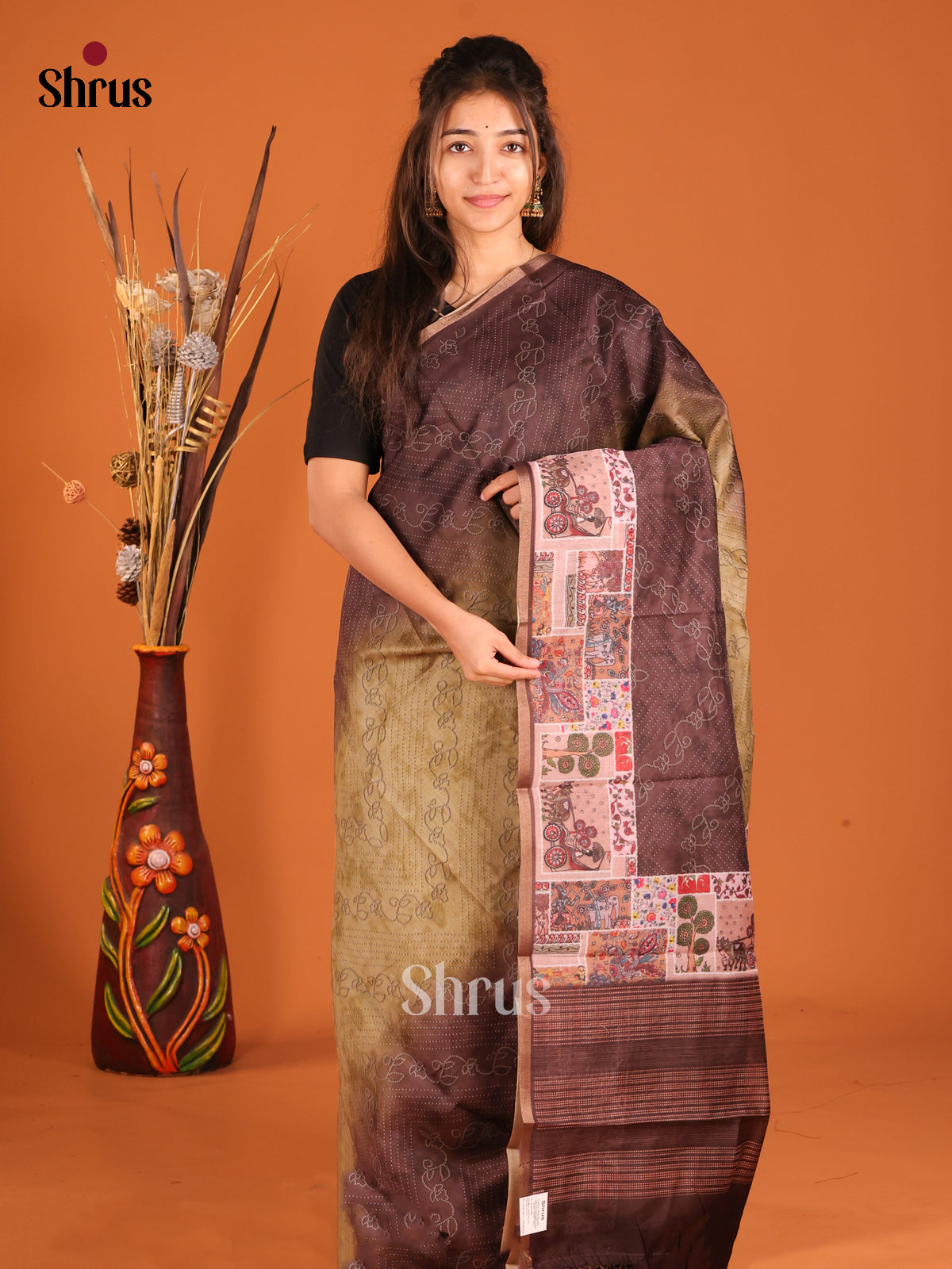 Chikoo & Brown - Semi Chanderi Saree