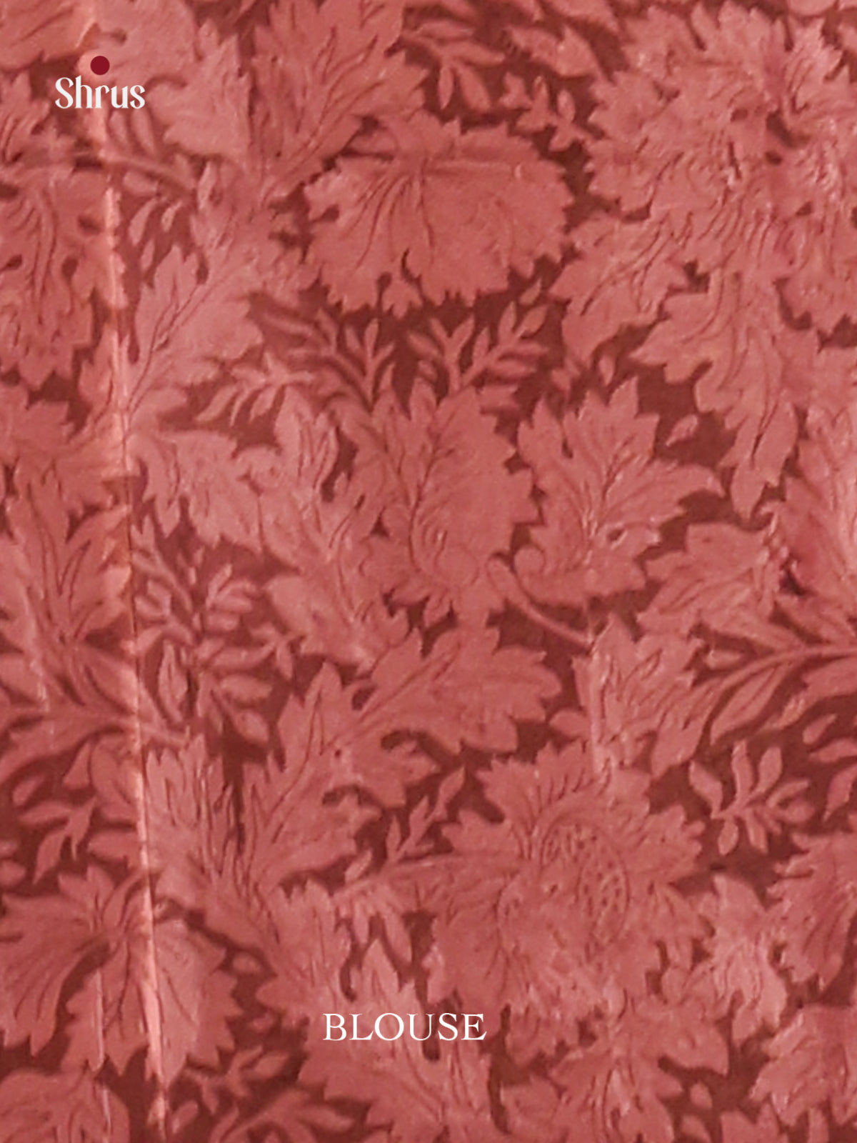 Brown - Semi Tussar Saree