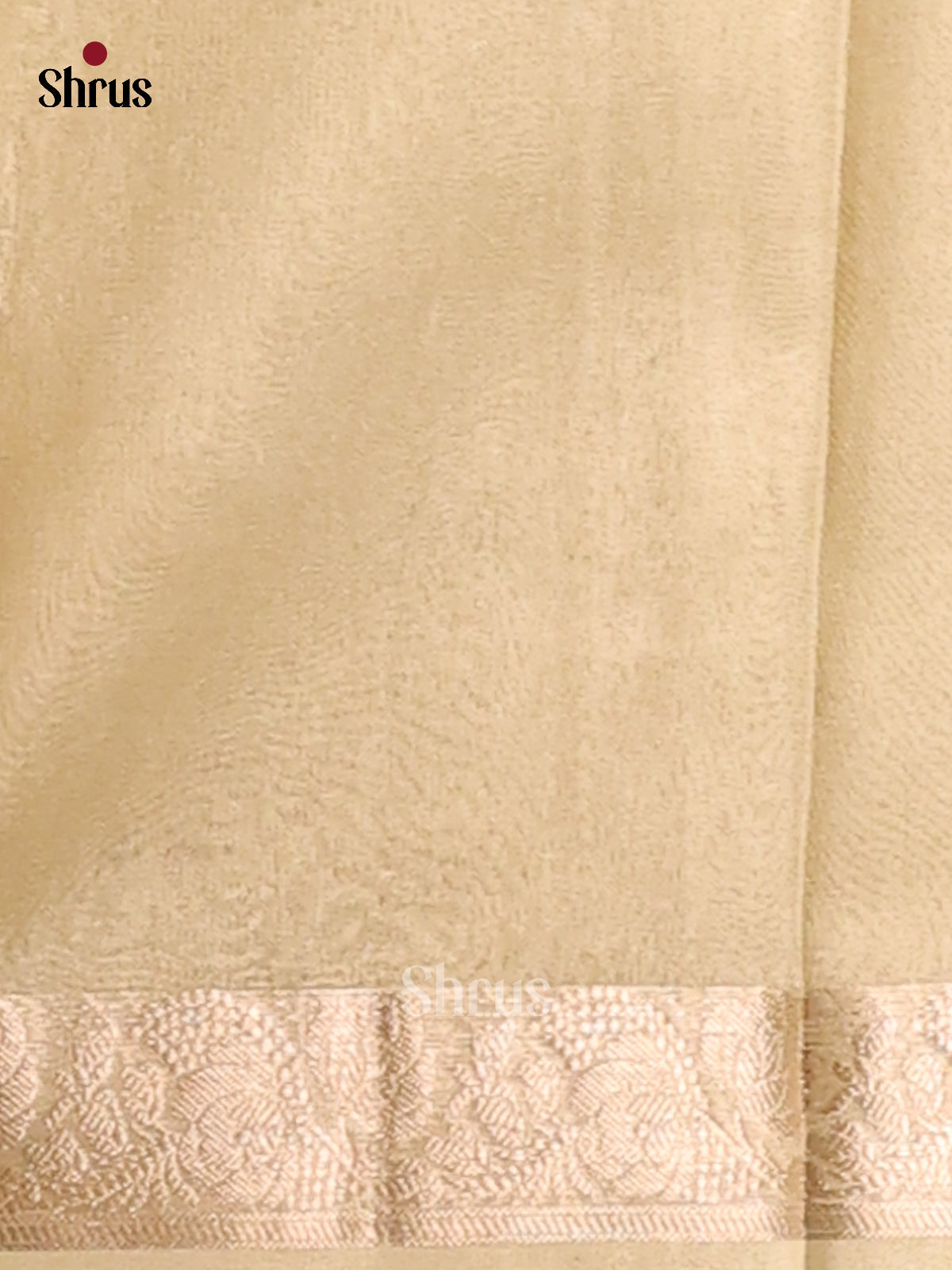 Light Green - Semi Tissue Saree