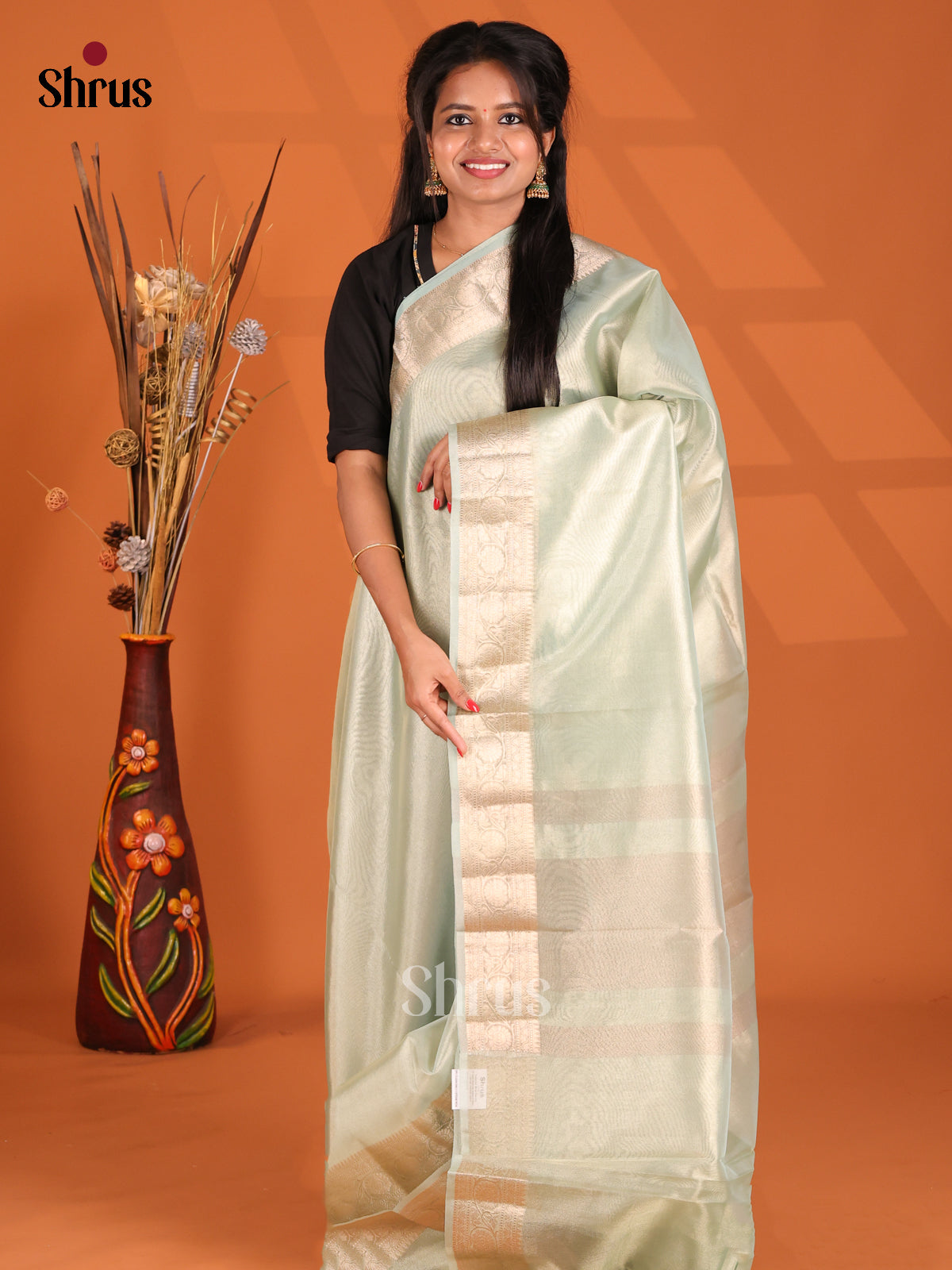 Ice Green - Semi Tissue Saree