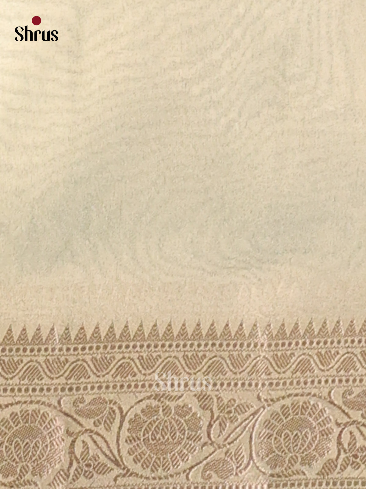 Ice Green - Semi Tissue Saree