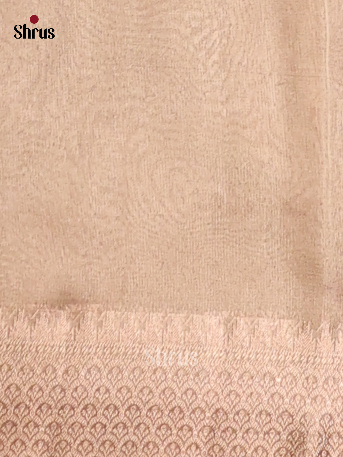 Brown- Semi Tissue Saree