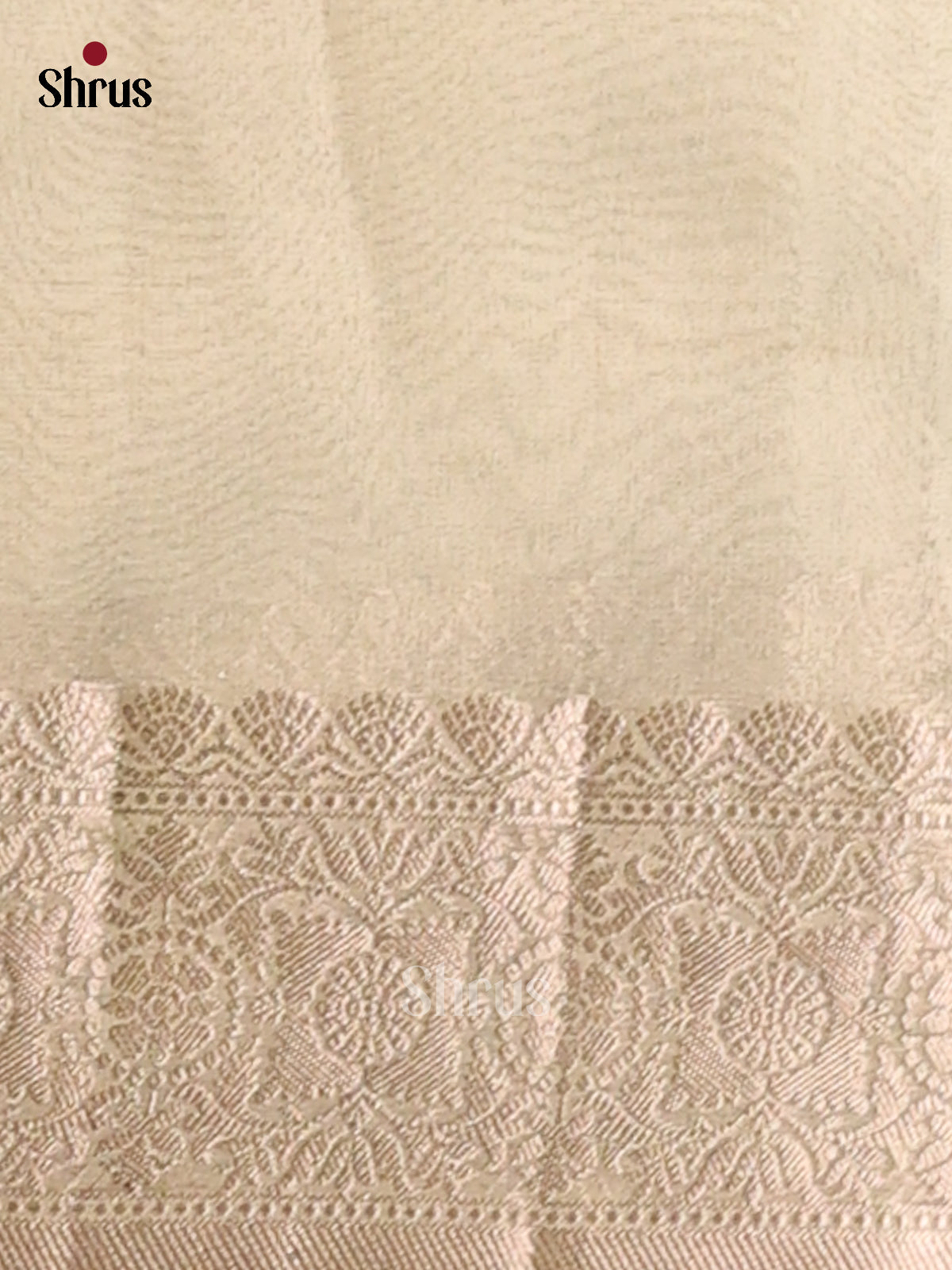 Mild Green - Semi Tissue Saree - Shop on Shrus.com