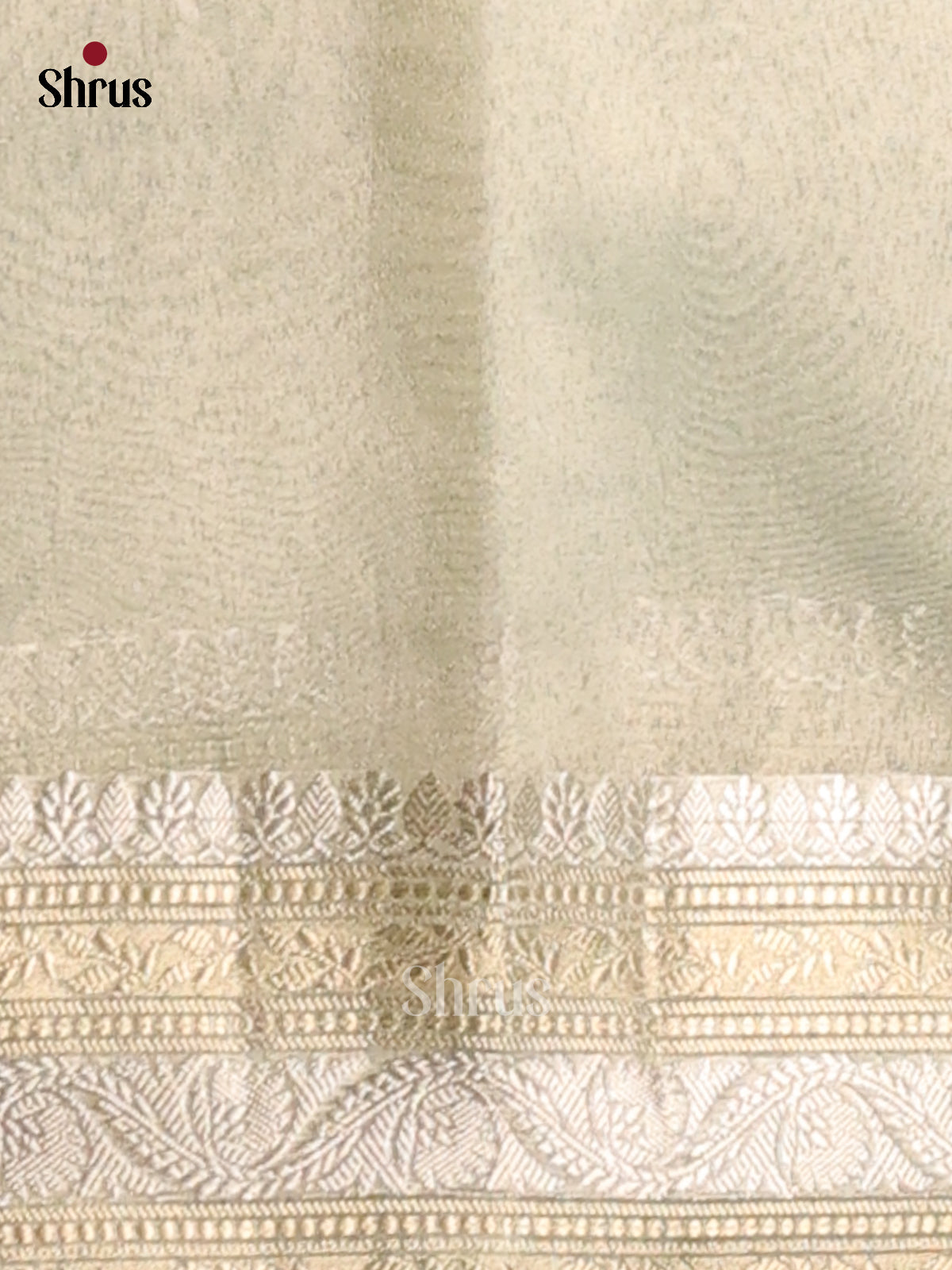 Ice Green- Semi Tissue Saree - Shop on Shrus.com