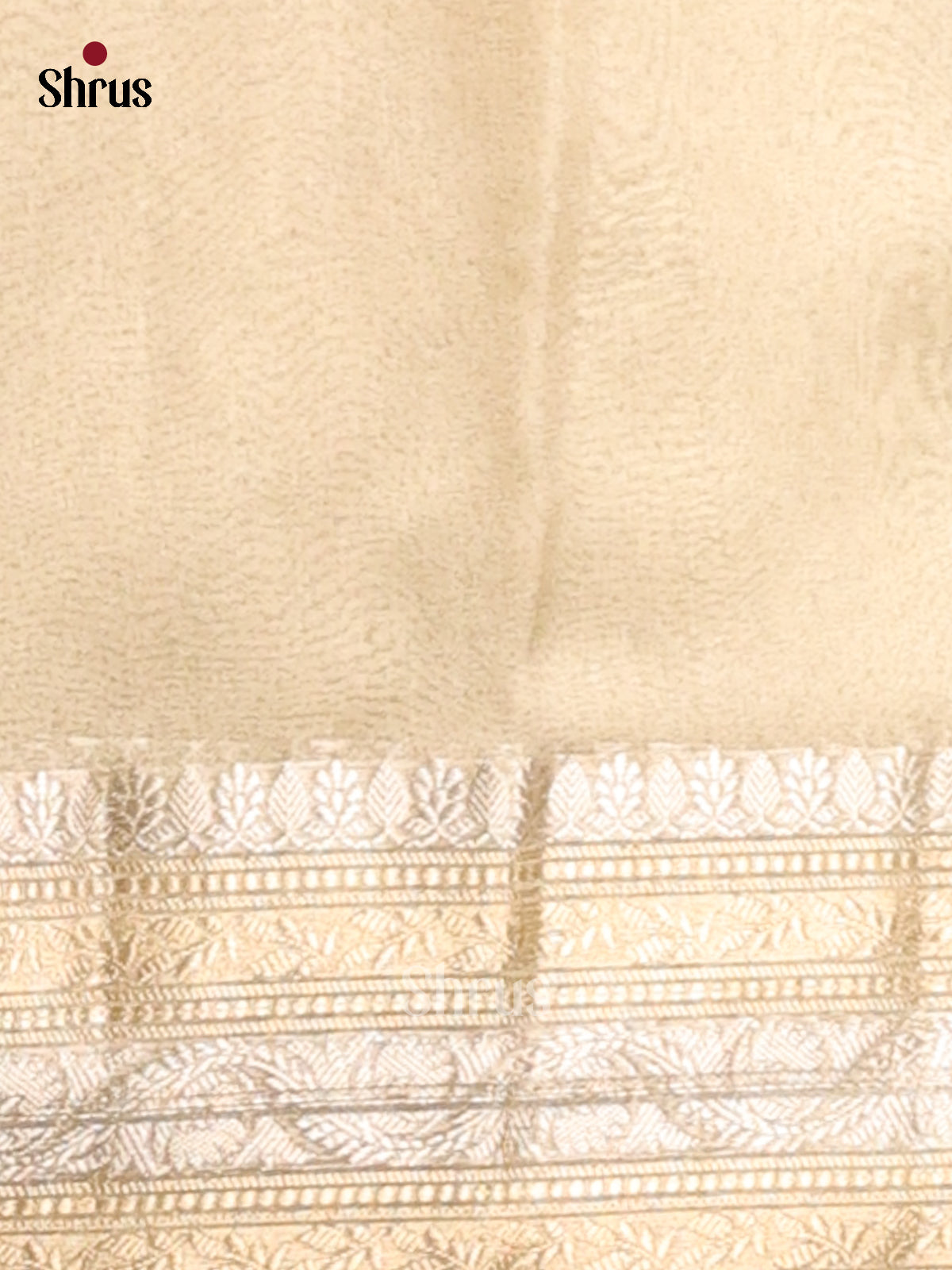 Light Green - Semi Tissue Saree - Shop on Shrus.com