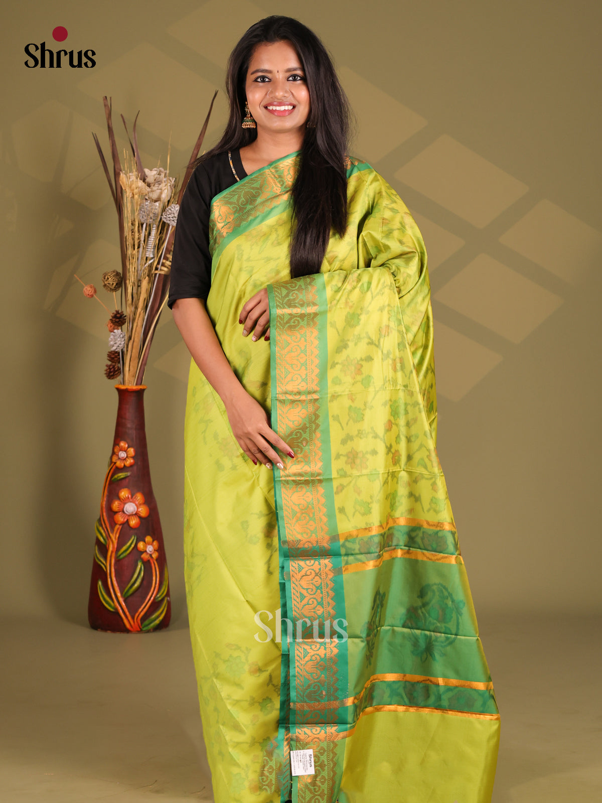 Light Green & Green - Semi Pochampally Saree - Shop on Shrus.com