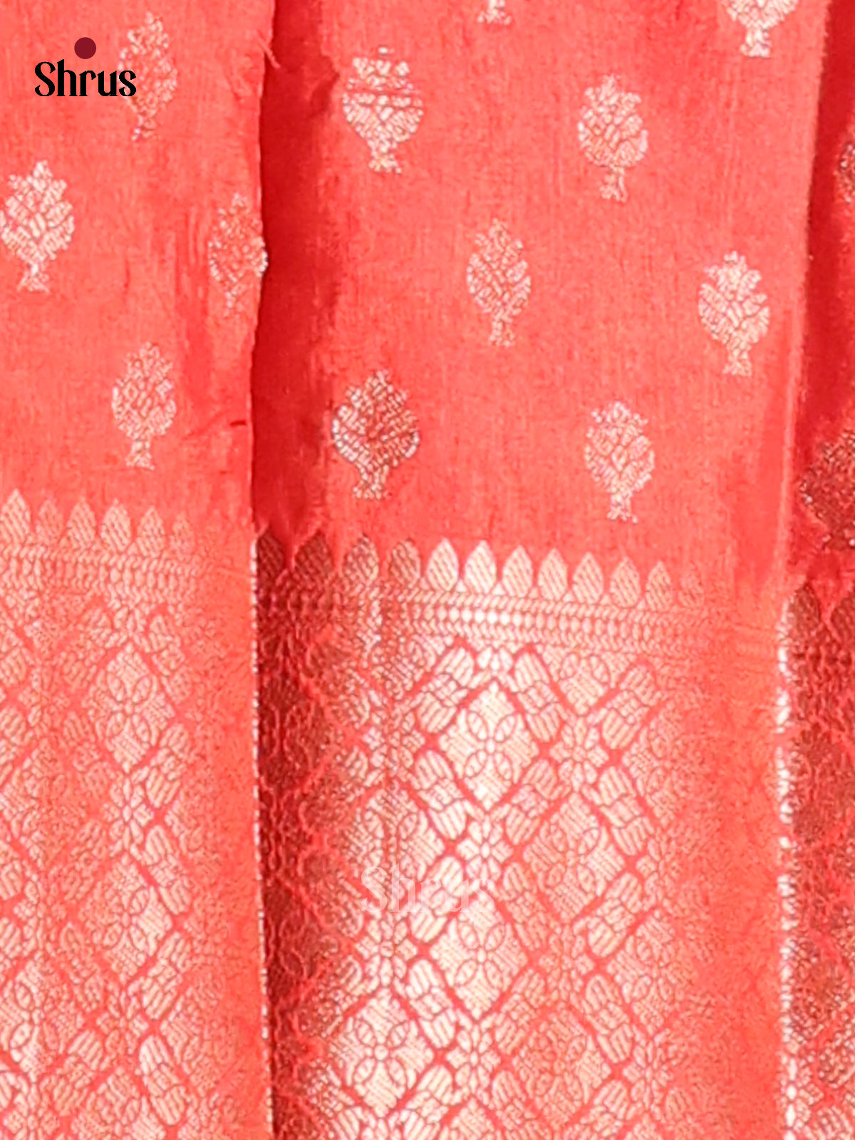 Wine & Red NorthSilk Cotton Saree -1