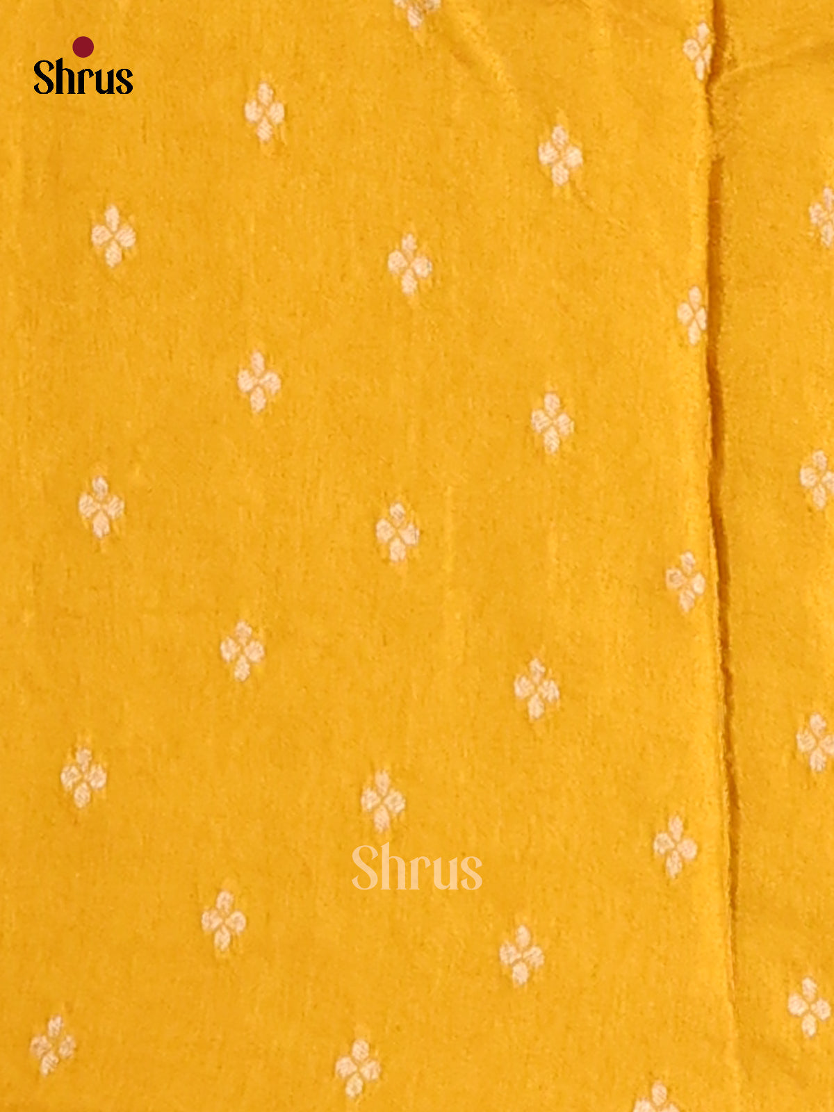 DFS13580 - Chinnon Silk Saree