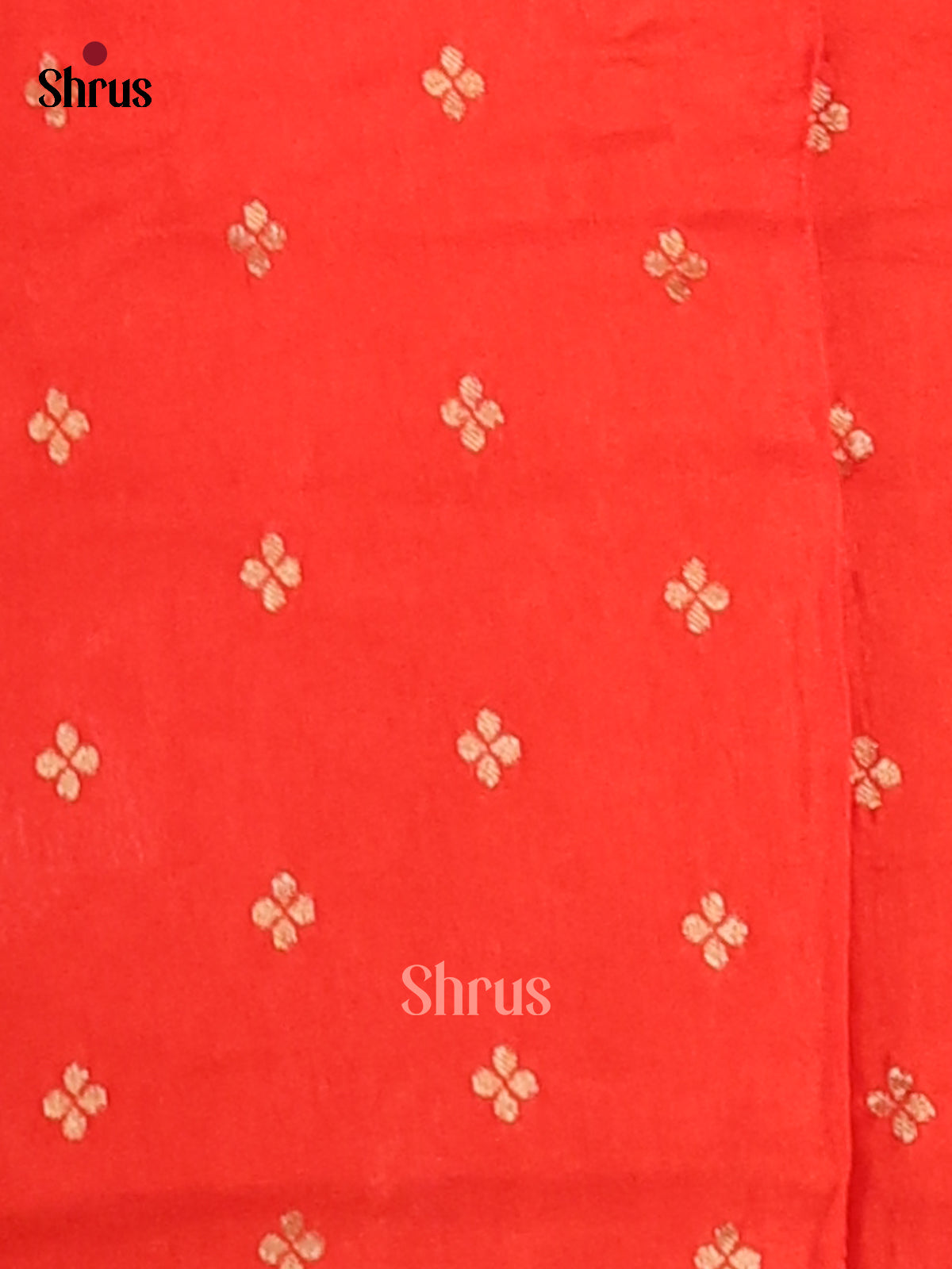 DFS13585 - Chinnon Silk Saree