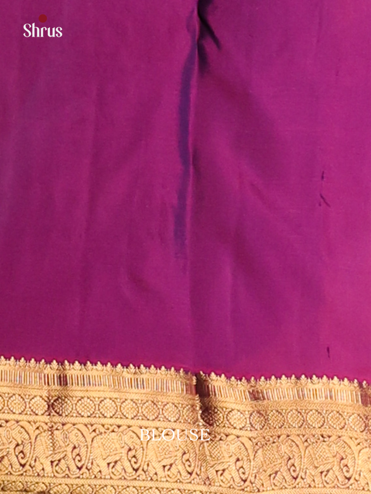 Serene Green Kanchipuram silk Saree with Purple zari elephant butta border - Shop on Shrus.com