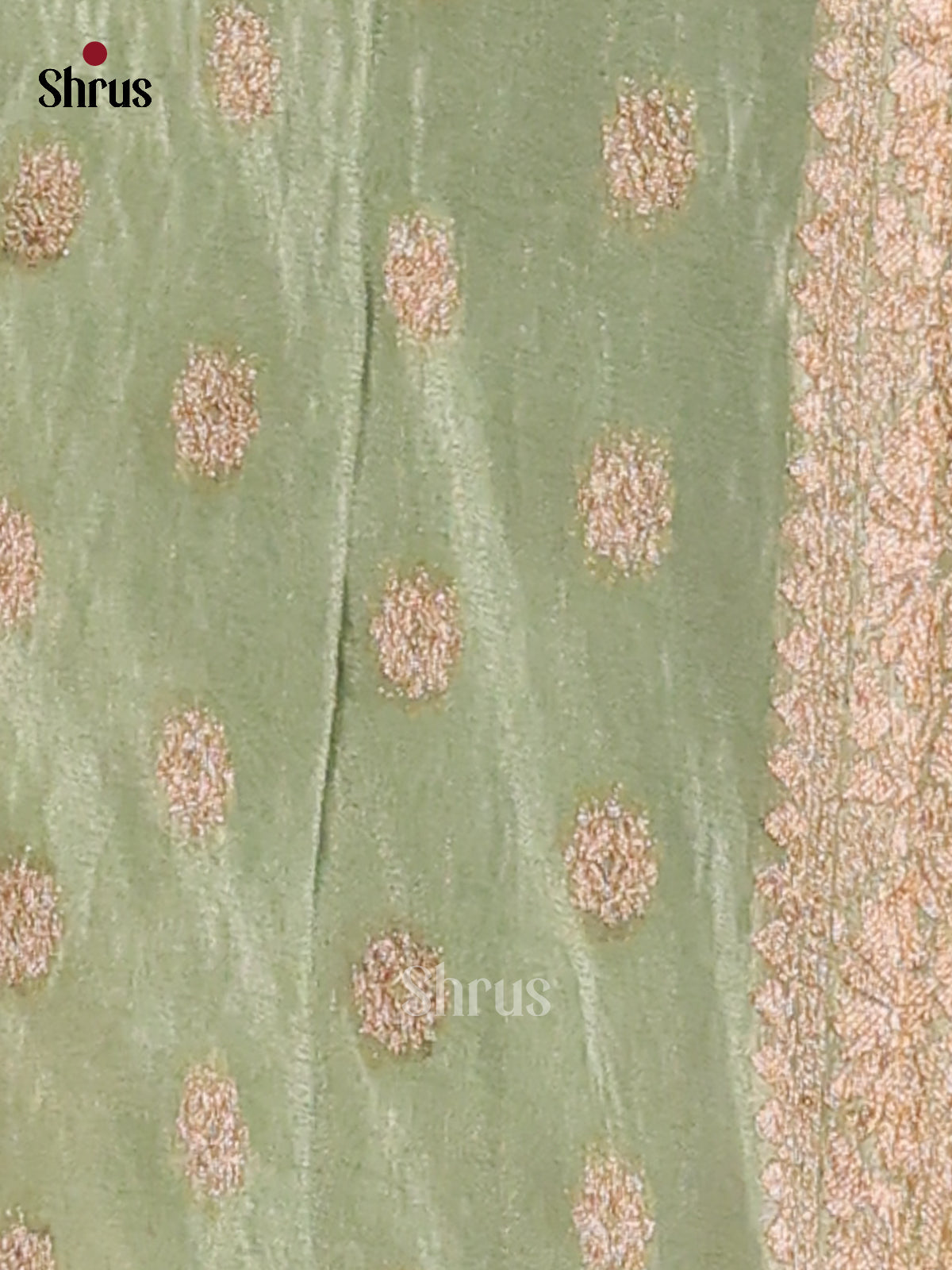 Pastel Green- Semi Georgette Saree - Shop on Shrus.com