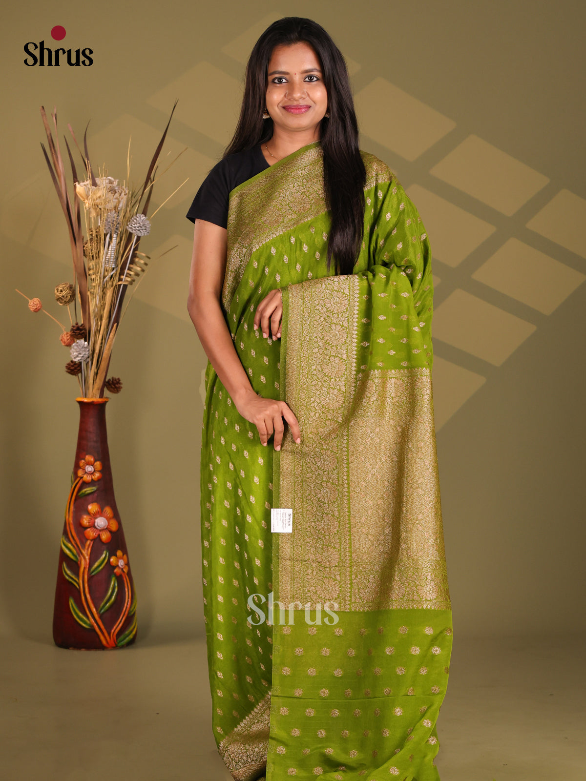 Light Green - Semi Georgette Saree - Shop on Shrus.com