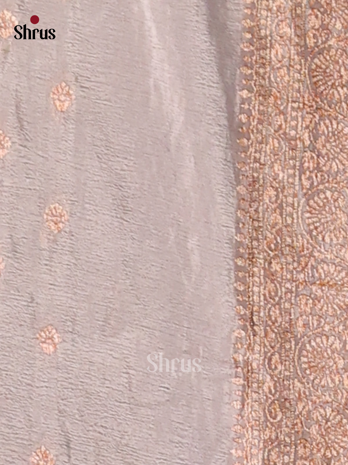 Grey - Semi Georgette Saree