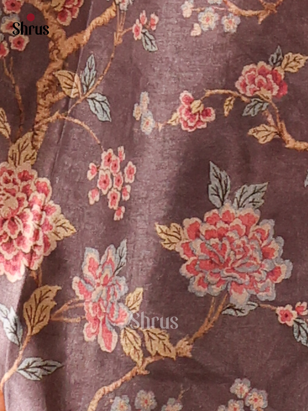 Cream & Brown - Butter silk Saree