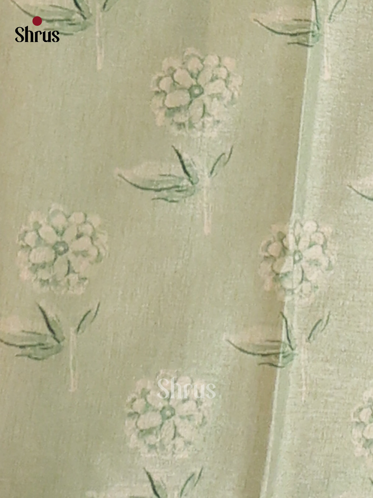 Pastel Green - Butter silk Saree - Shop on Shrus.com