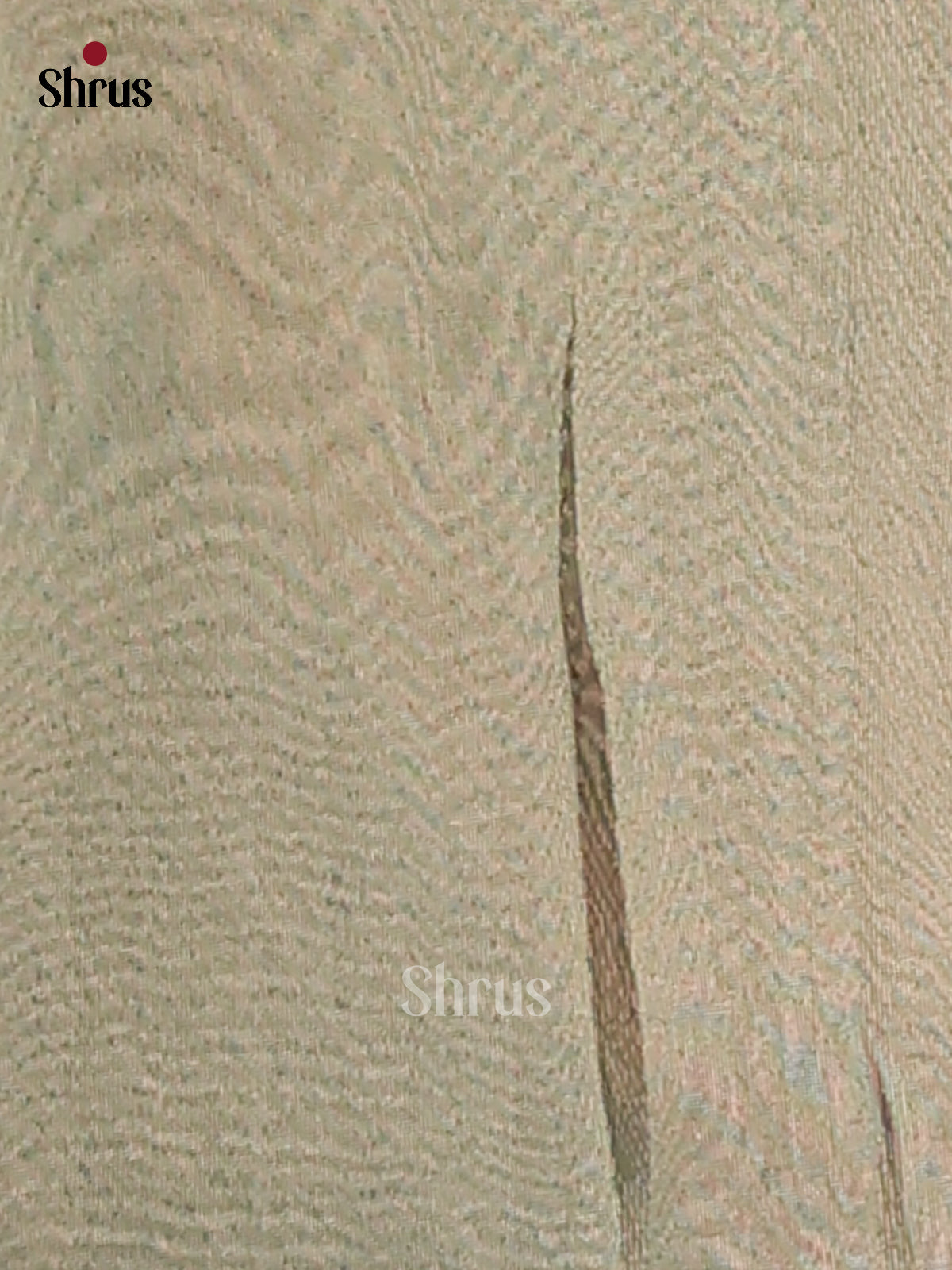 Grey & Green - Semi Tissue Print Saree