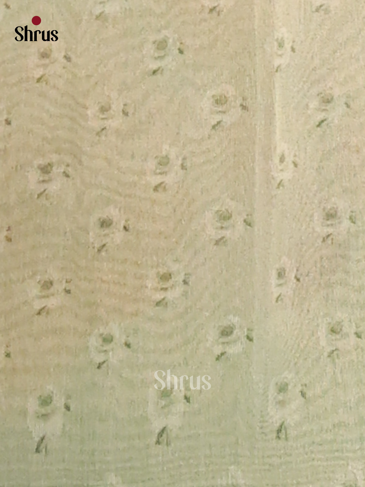 Green - Semi Tissue Print Saree